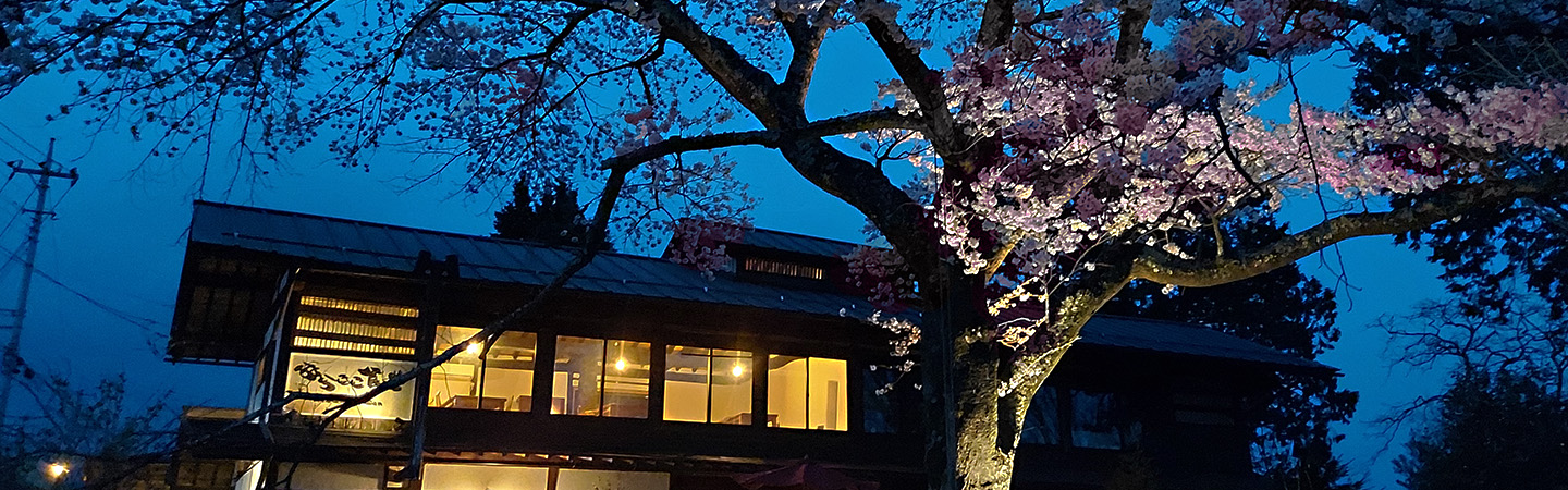 店舗と夜桜